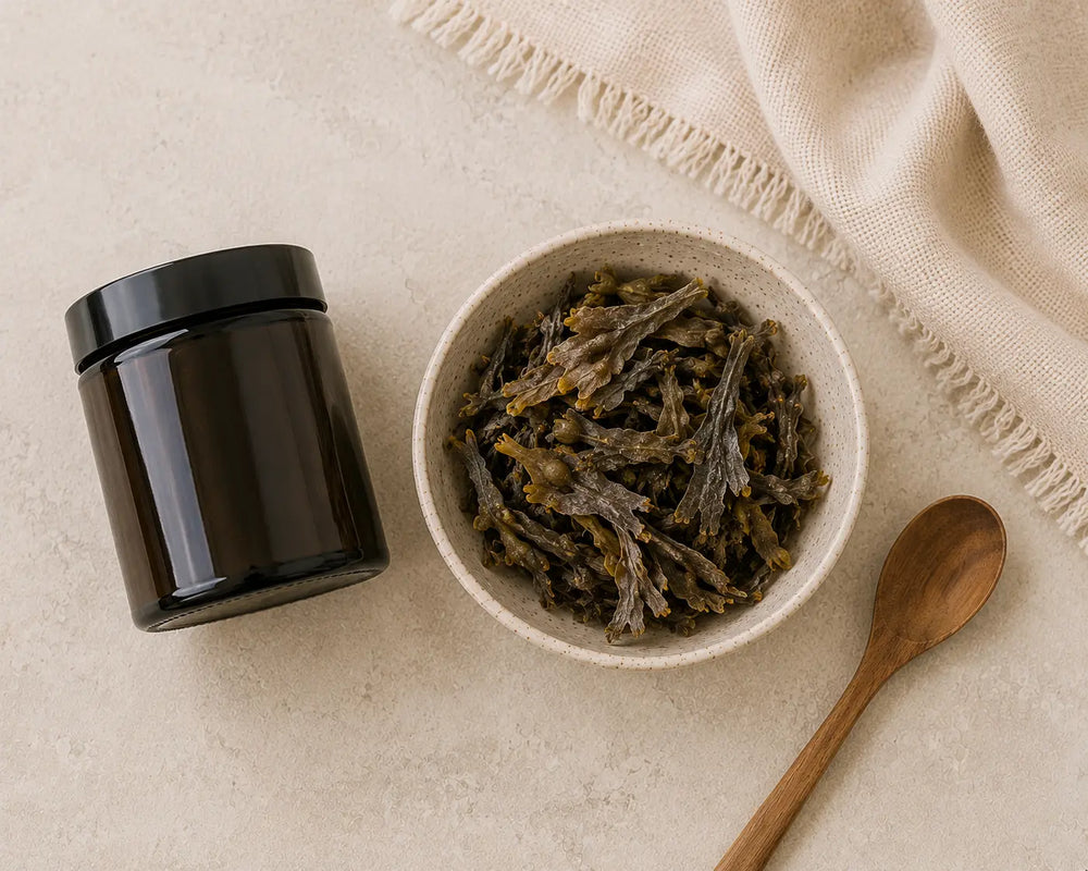 Dried bladderwrack seaweed in a ceramic bowl beside a supplement jar on a light stone background.