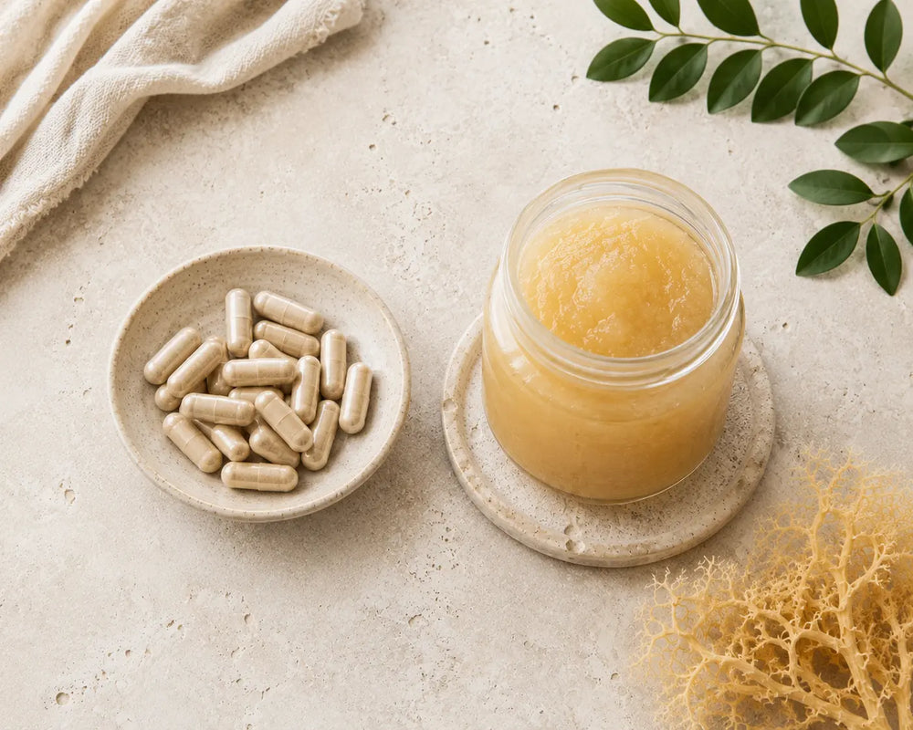 Sea moss gel in a jar beside sea moss capsules on a light stone background.