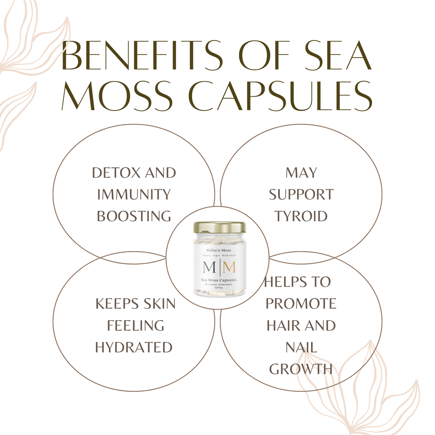Benefits Of Sea Moss Capsules. Detox And Immunity Boosting. May Support Thyroid. Keeps Skin Feeling Hydrated. Helps To Promote Hair And Nail Growth. 
