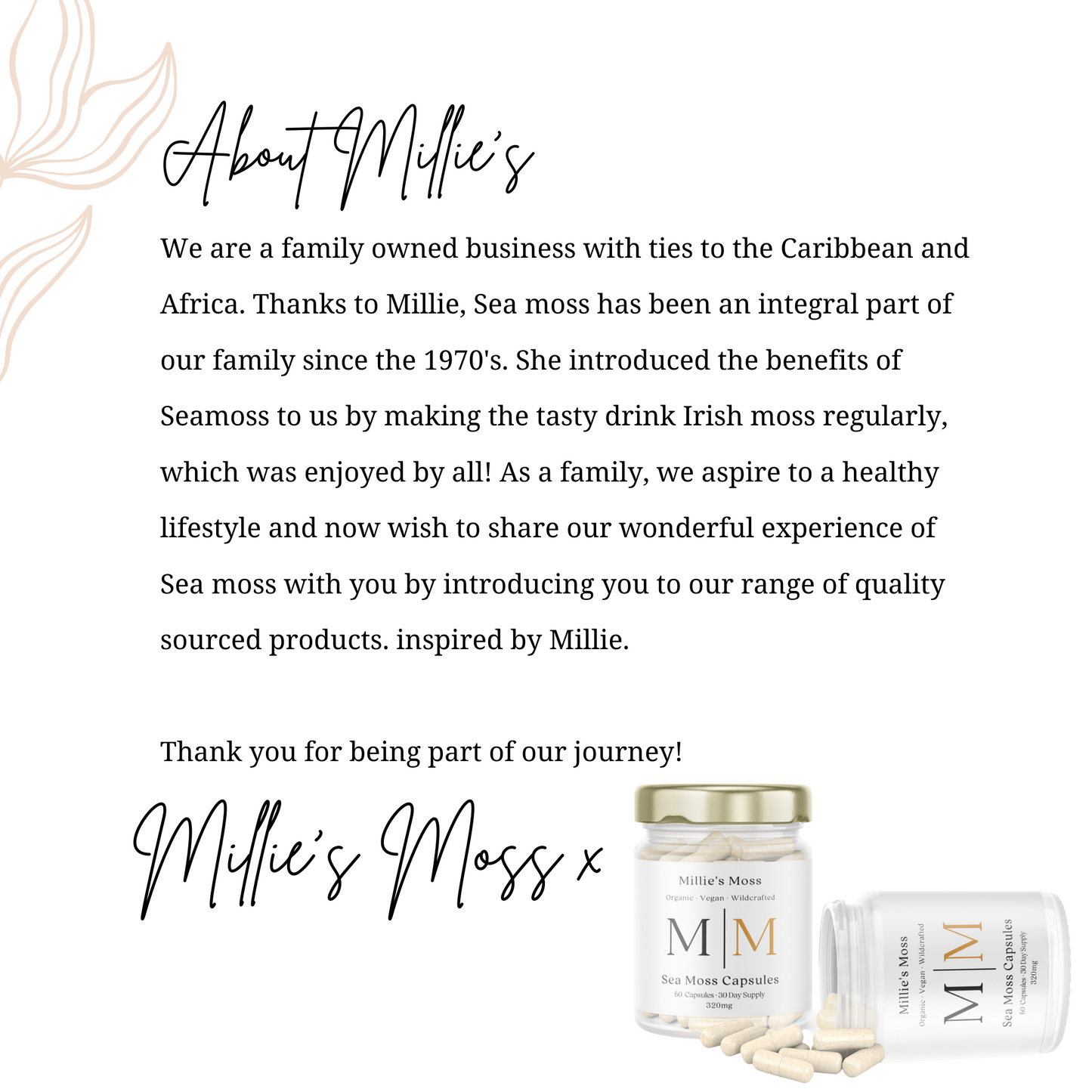 Millie’s Pure & Wildcrafted Golden Sea Moss Capsules