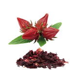 Images of fresh and dried sorrel, hibiscus on a clear backgound