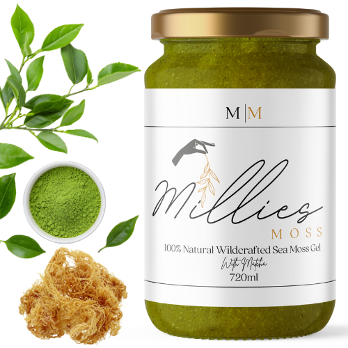 本日のみ！GALLIUM GS1205 POWER MOIST 30g GALLIUM HIGH-SPEED MOIST