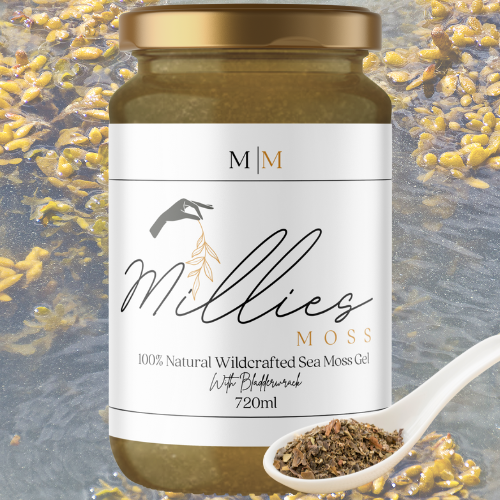 Jar of Millie's Moss bladderwrack infused sea moss gel with dried bladderwrack on a spoon and ocean in the background