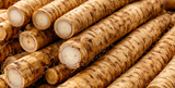 Burdock Root