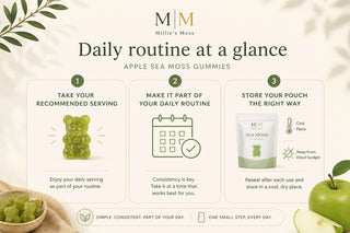 Daily routine at a glance infographic