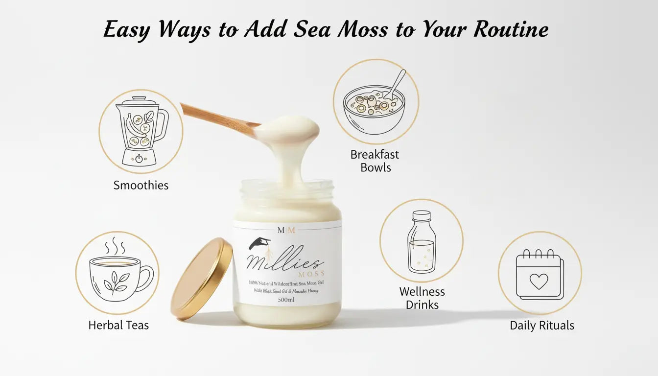 Ways to add sea moss gel to daily routine including smoothies herbal teas breakfast bowls wellness drinks and daily wellness rituals
