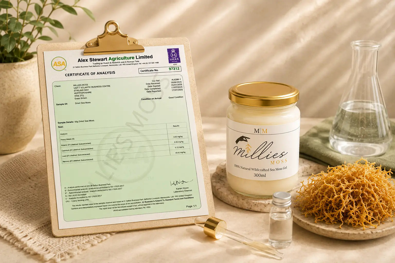 Certificate of Analysis beside Millie’s Moss sea moss gel and dried sea moss.