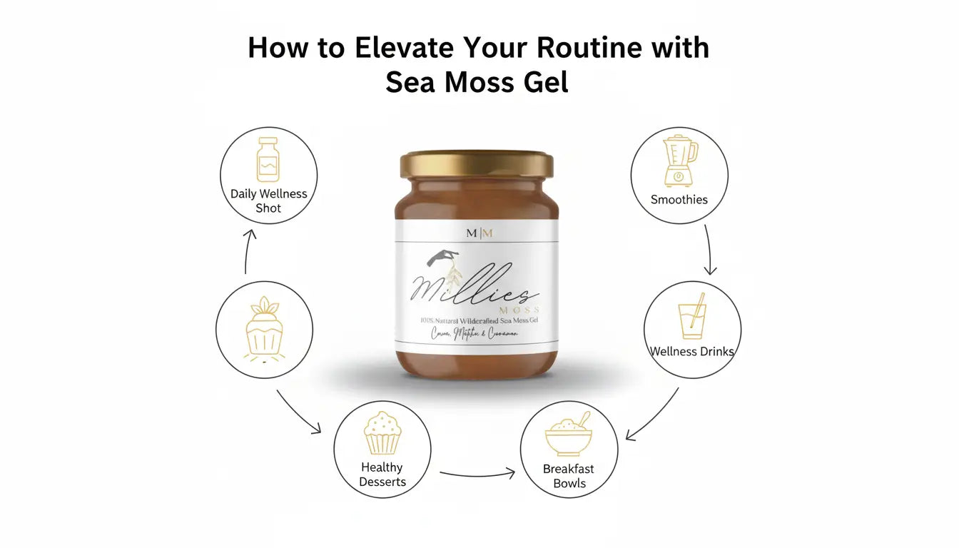 Infographic showing how to use sea moss gel in smoothies wellness drinks breakfast bowls desserts and daily wellness shots