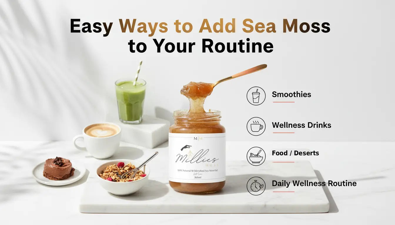 Sea moss gel jar with spoon showing easy ways to add sea moss to smoothies wellness drinks desserts and daily wellness routines