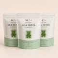 Three-pack bundle of Millie’s Moss Apple Sea Moss Gummies pouches