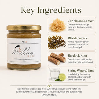 Key Ingredients