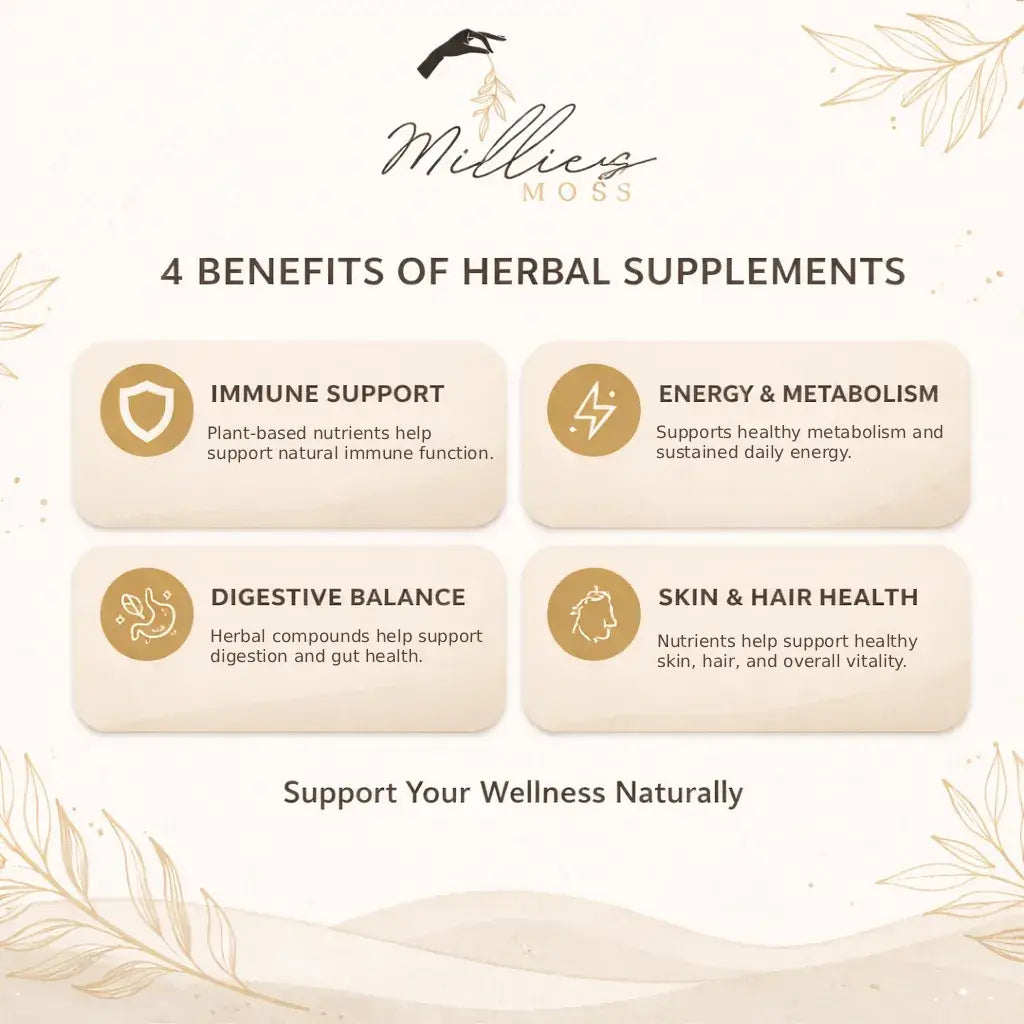Infographic showing benefits of herbal supplements including immune support, digestion, energy metabolism, and skin health.