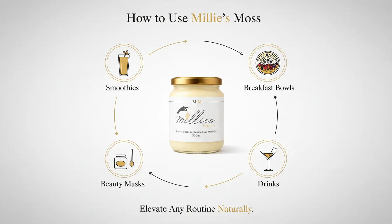 Infographic showing how to use sea moss gel in smoothies, breakfast bowls, drinks and beauty masks