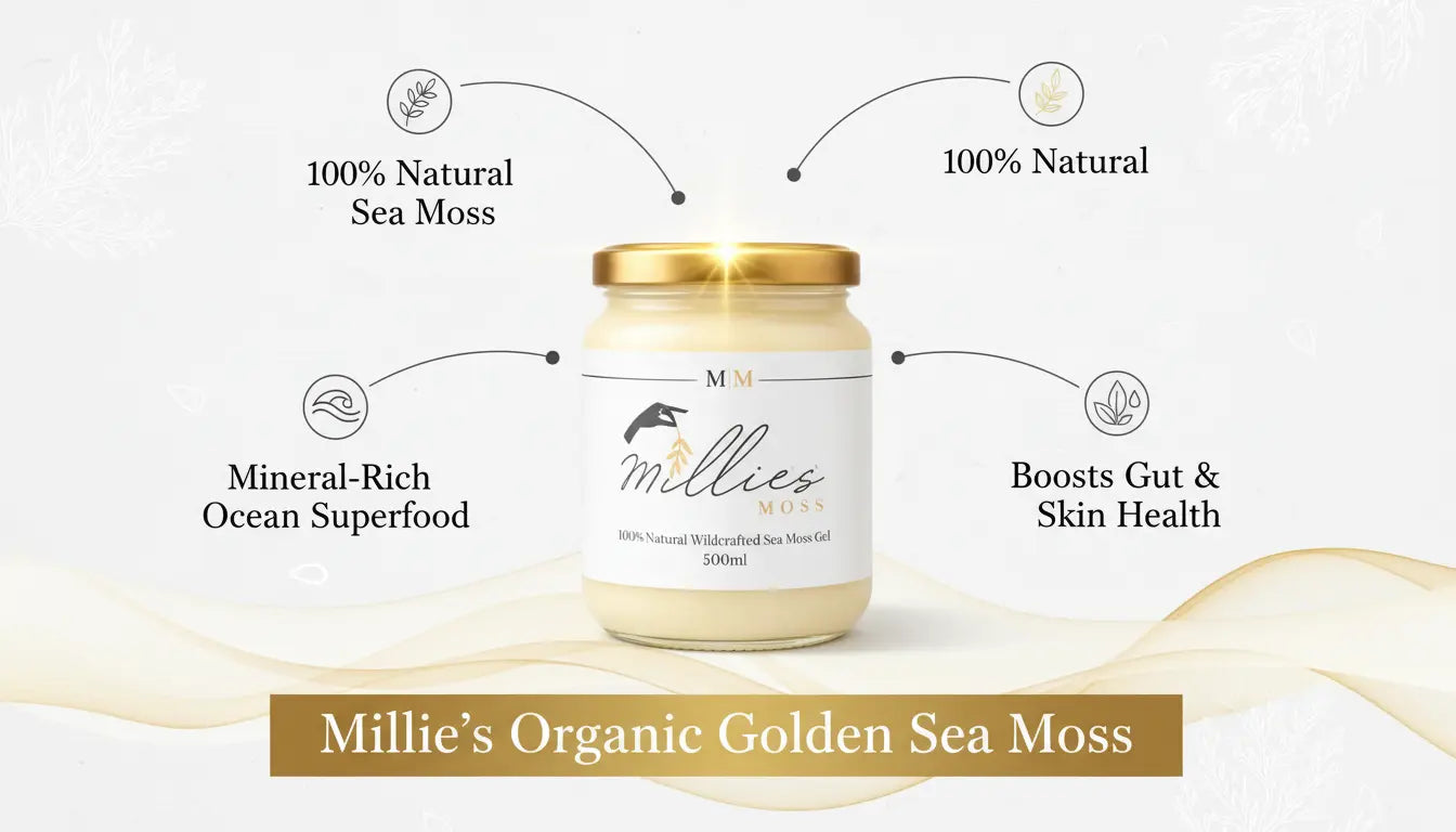 Infographic highlighting natural sea moss gel benefits including minerals and gut health support
