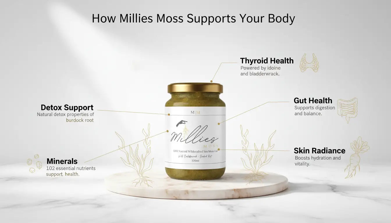 Millies Moss sea moss gel infographic showing thyroid health, gut health, detox support, minerals and skin radiance benefits