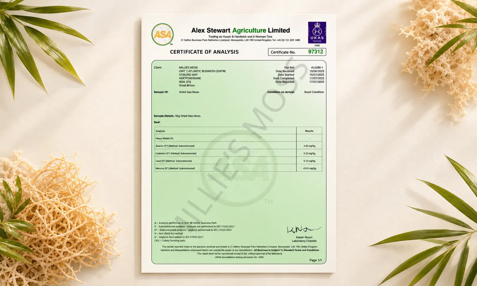 Certificate of Analysis document for Millie’s Moss dried sea moss displayed with natural sea moss and green leaves.