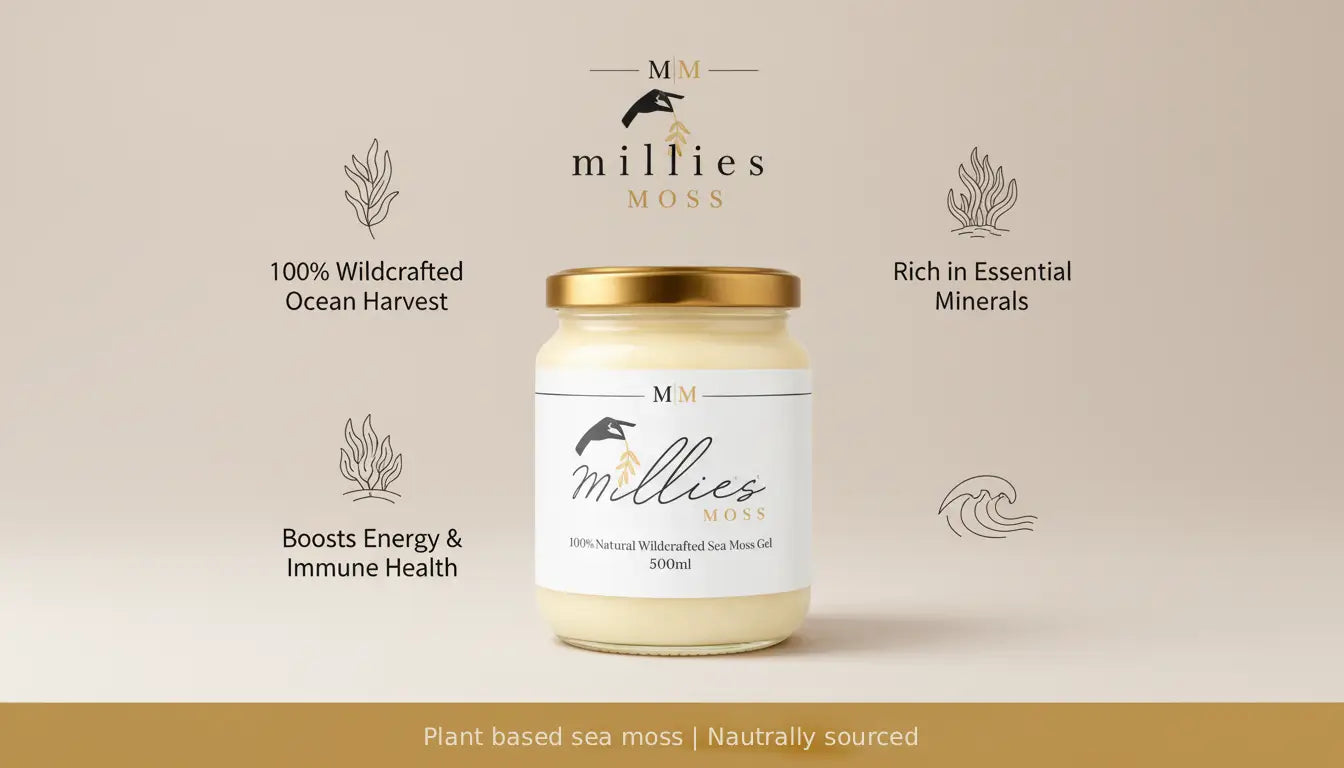 Infographic showing benefits of wildcrafted sea moss gel including essential minerals and immune support