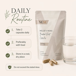 Daily routine at a glance