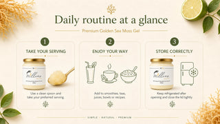Daily routine at a glance infographic