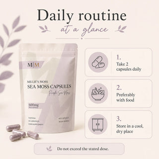 Daily routine at a glance