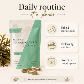 Daily routine at a glance