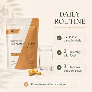 Daily routine at a glance