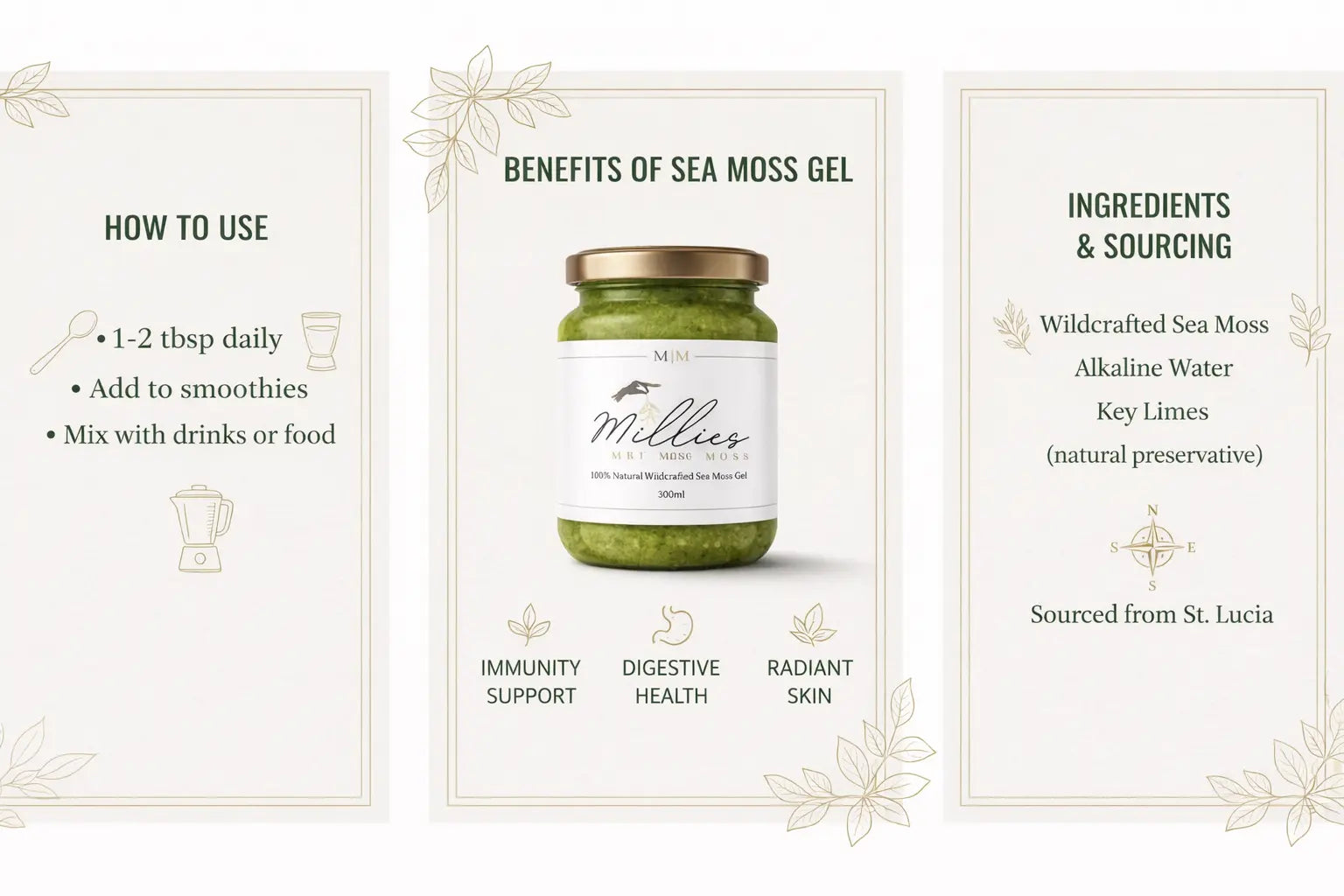 Sea moss gel infographic showing benefits including immunity digestive health radiant skin and ingredients wildcrafted sea moss alkaline water and key lime