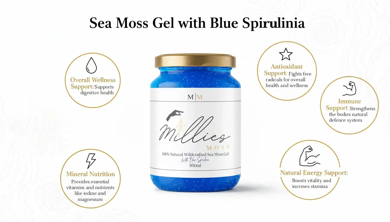 Sea moss gel with blue spirulina benefits infographic showing wellness, antioxidant, immune and energy support
