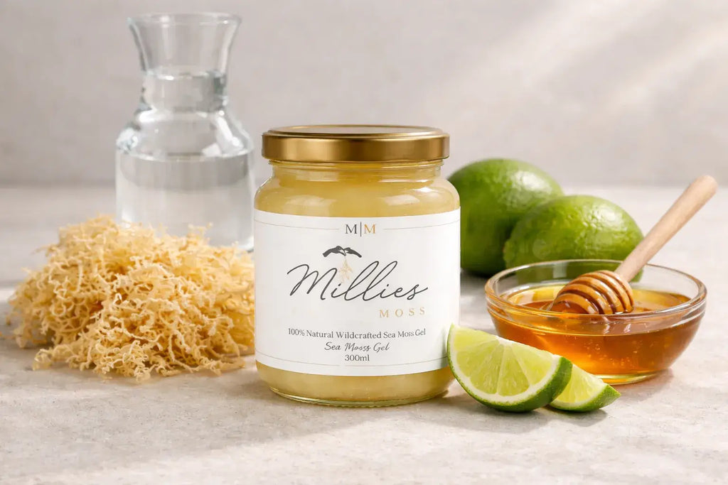 Sea moss gel with Manuka honey shown alongside raw dried sea moss, lime, and natural honey ingredients