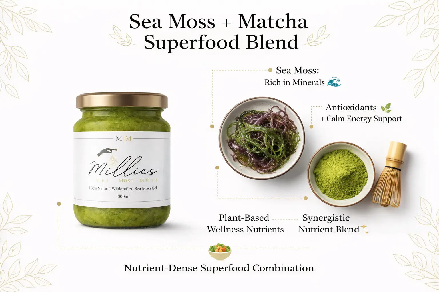 Sea moss gel with matcha superfood blend highlighting plant based nutrients antioxidants calm energy and mineral rich sea moss