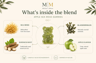 What’s inside the blend infographic