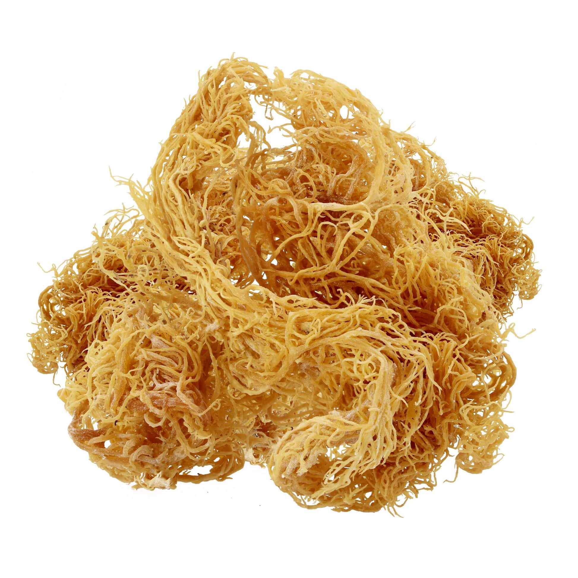 Raw, sun-dried sea moss in its natural, unprocessed form, showing its golden, stringy texture.