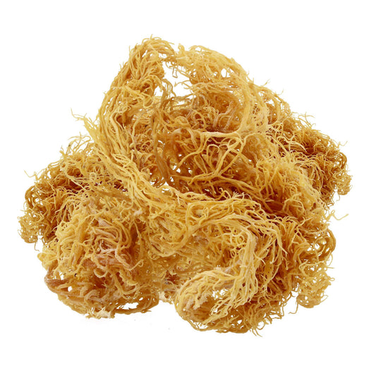 Millie's Wildcrafted Golden Sea Moss - Sun-Dried Superfood Supplement